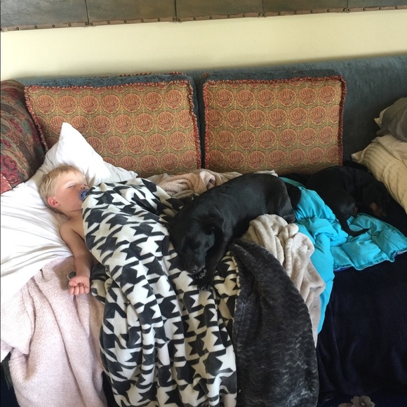 DOG FRIENDLY ENVIRONMENT😂 - Picture 12 of 16